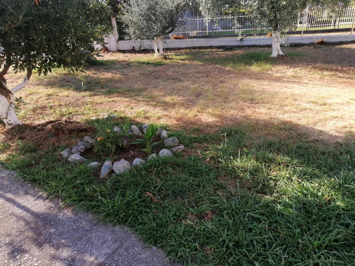 Apartment Adamidis